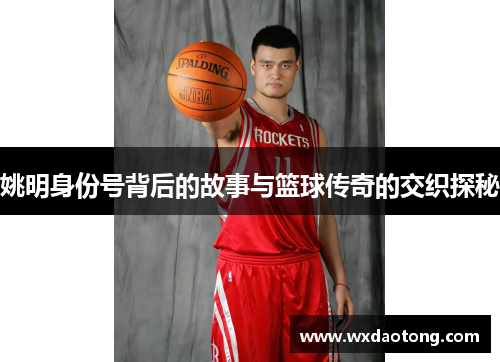 姚明身份号背后的故事与篮球传奇的交织探秘