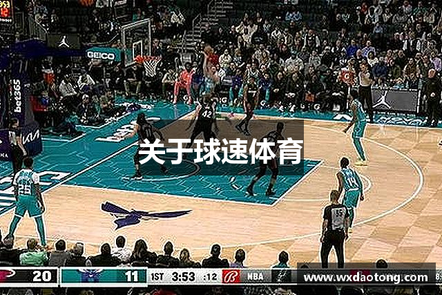 关于球速体育
